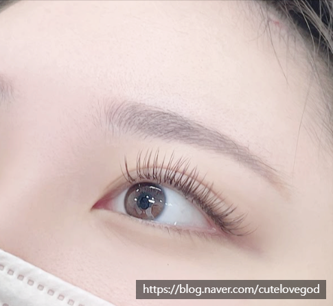 몽땅브로우 이미지