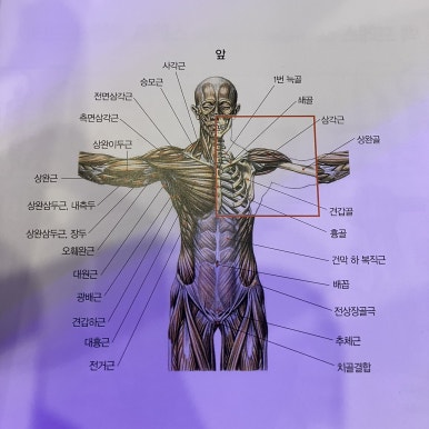 펄핏스튜디오 이미지