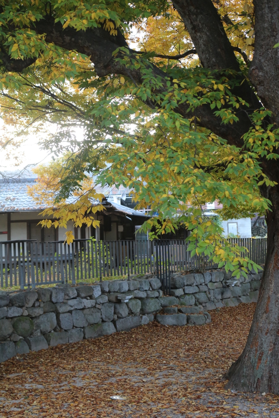 Hanbam Village Stone Wall Path