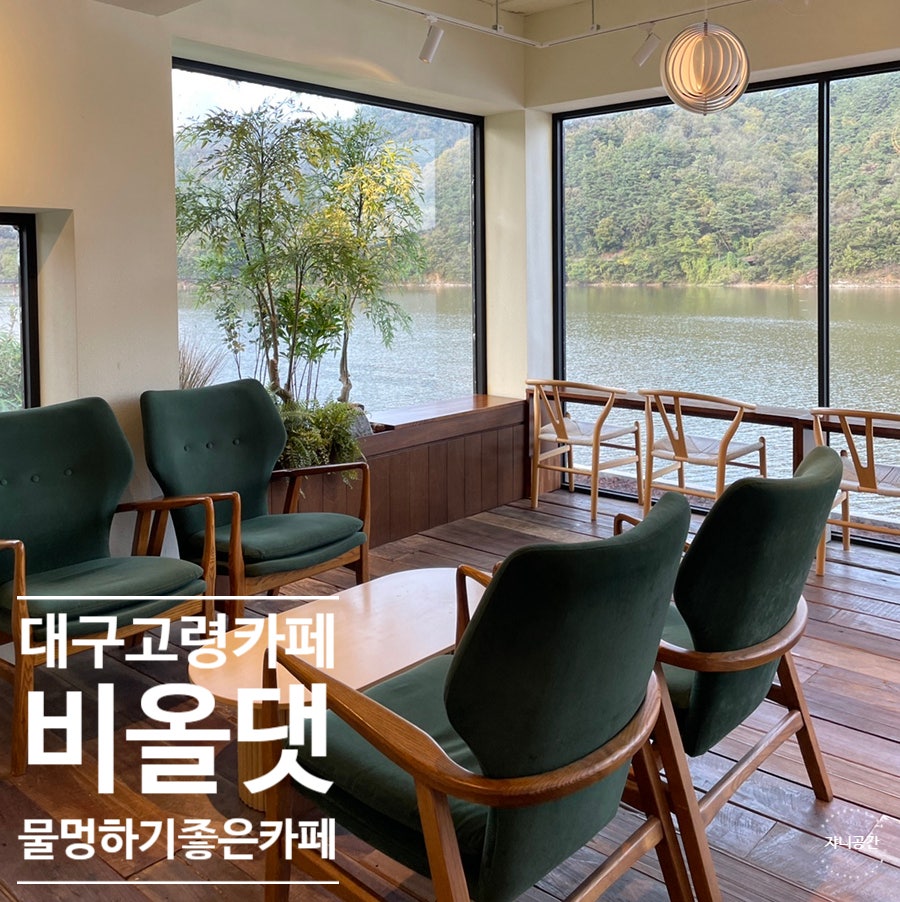 비올댓 이미지