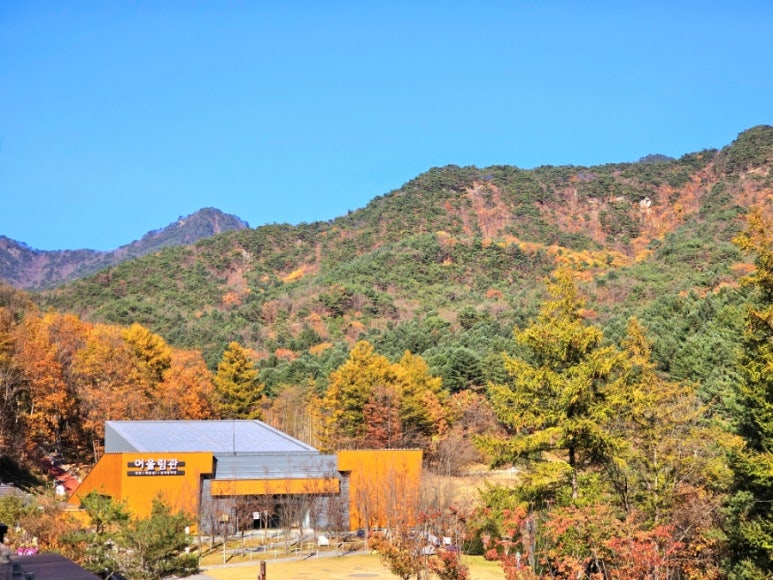 국립춘천숲체원 이미지