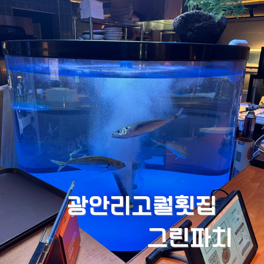 그린파치 이미지