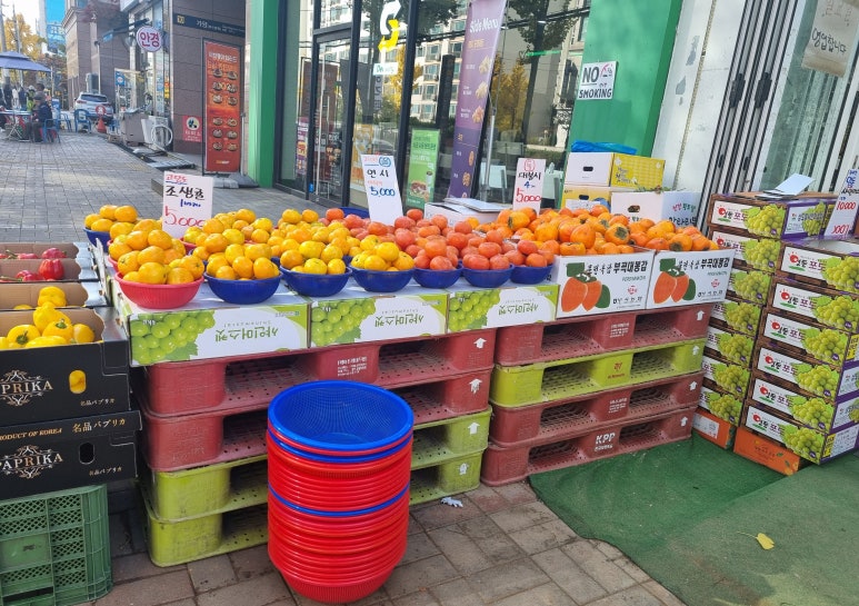 야채과일싼집 이미지