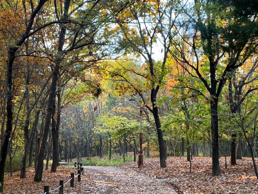(주)집사람 이미지