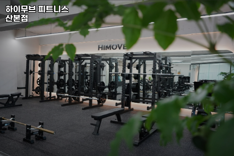 하이무브 이미지