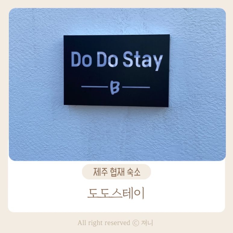 스테이도도 이미지