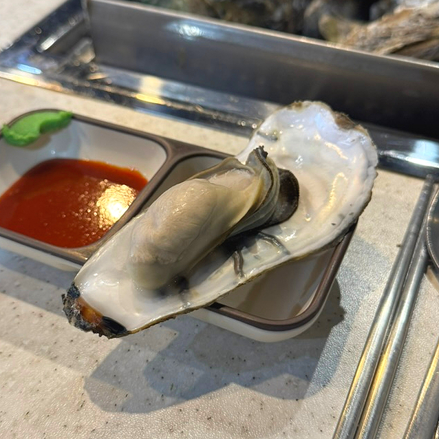 굴바다 이미지