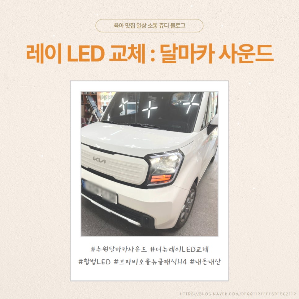 달마카사운드 이미지