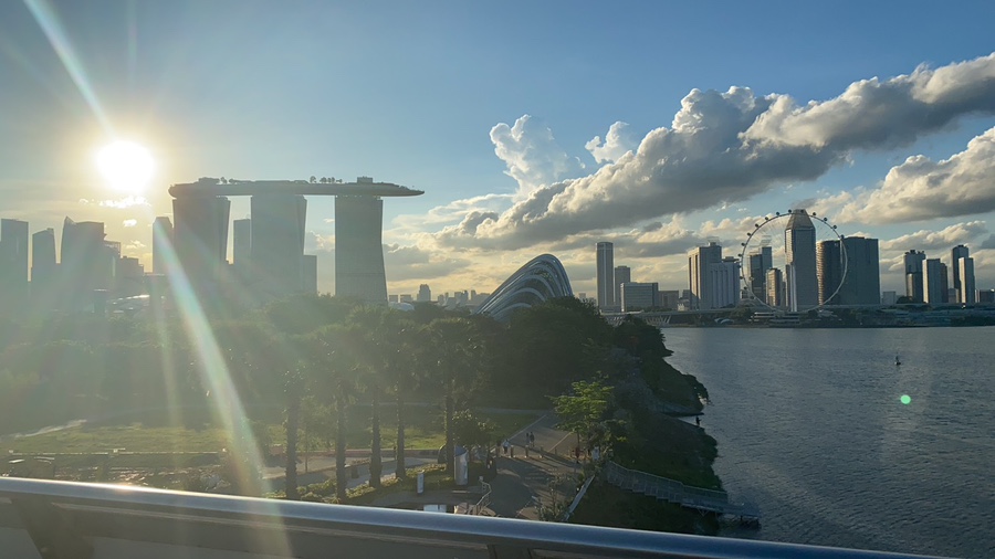 Picture Description Essay Examples