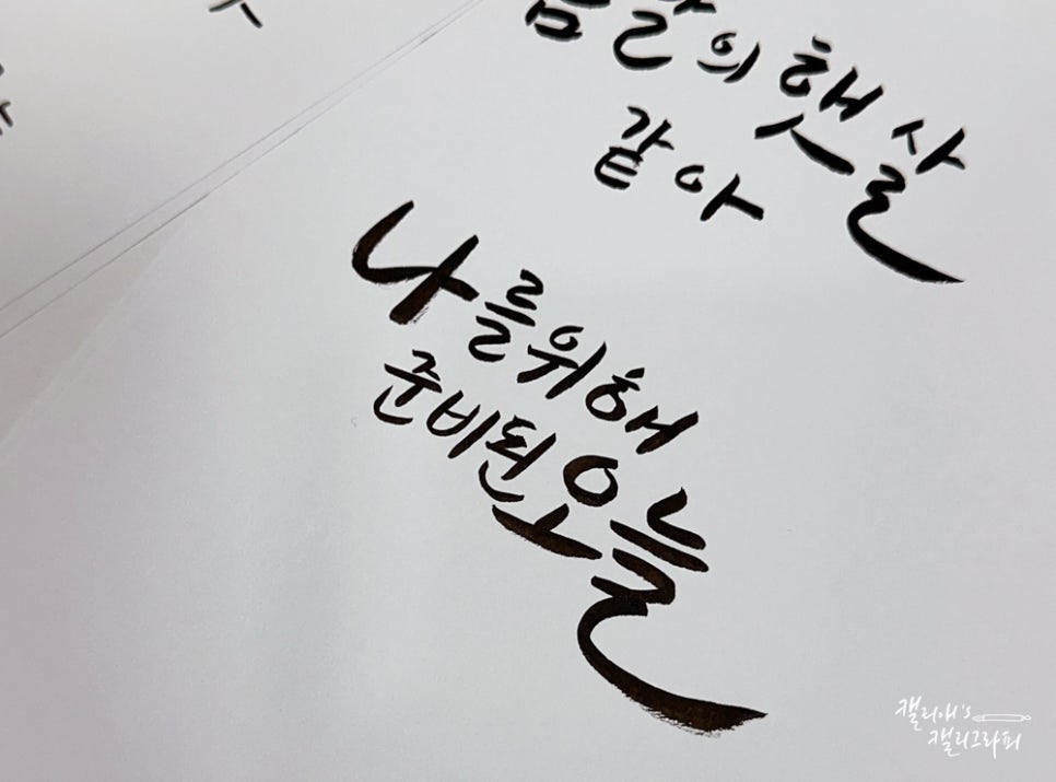 탐라캘리그라피 이미지