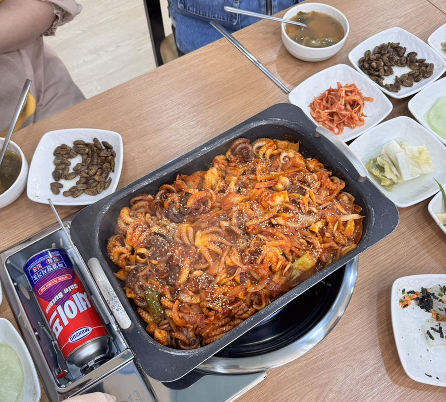 부강 꿀돼지 이미지