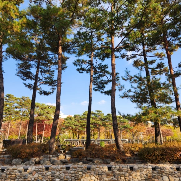 미봉헤어 본점 이미지