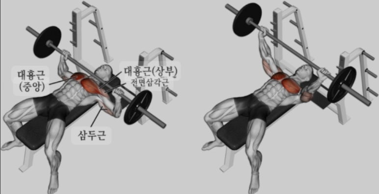 프레스 이미지
