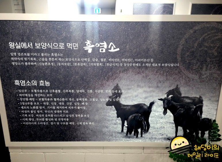고산흑염소 이미지