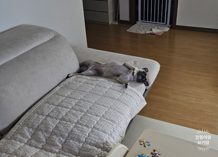 복희슈퍼 이미지