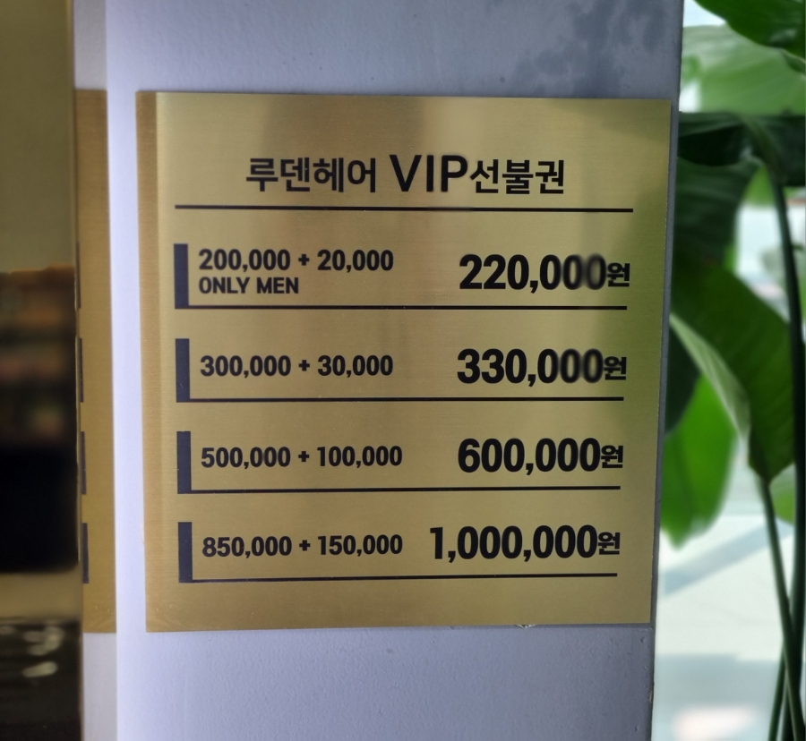 루덴헤어 이미지