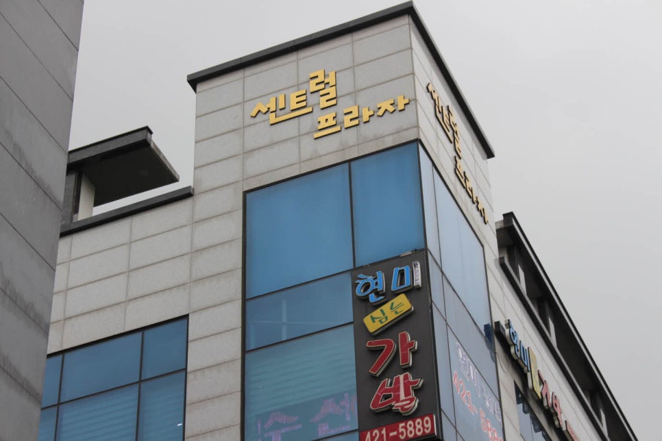 백가발 이미지