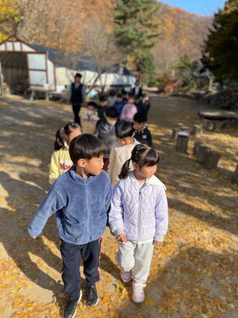 고양시립장미어린이집 이미지