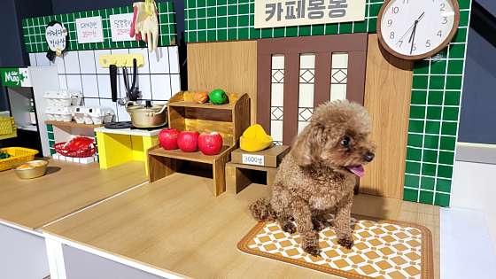 카페몽몽 이미지