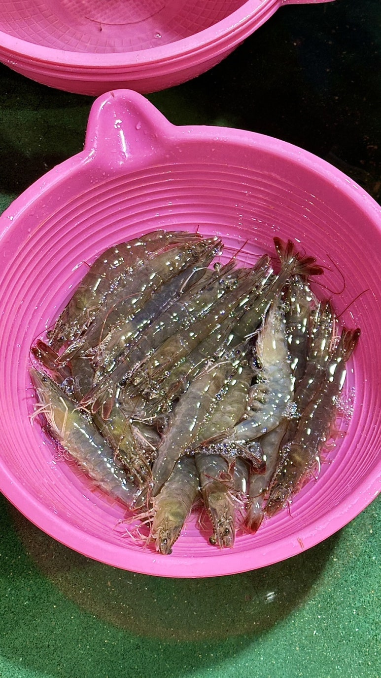 금정수산 이미지