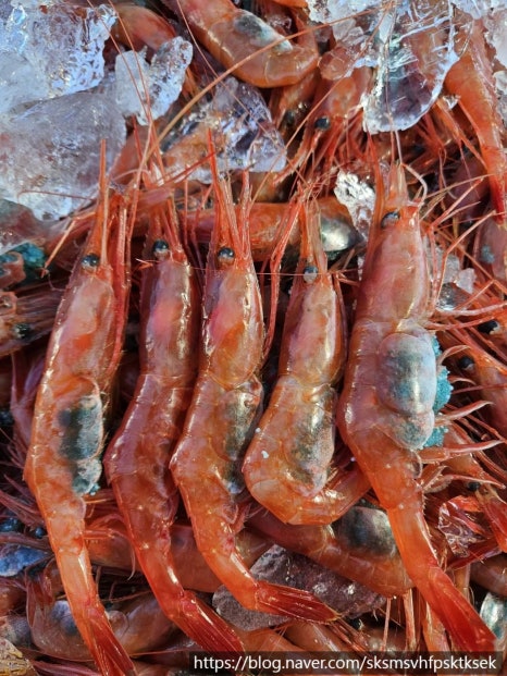 수 농수산 이미지