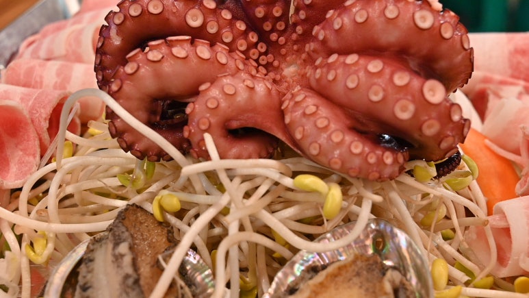 복마차 이미지