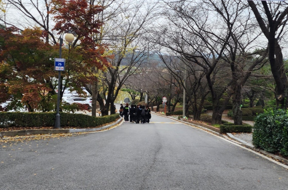 빽곰댄스 이미지