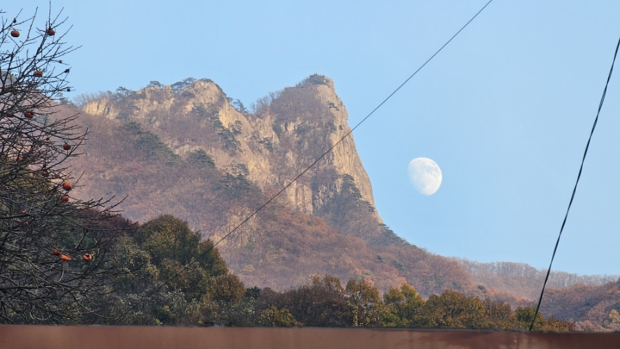 월악산특산물 이미지