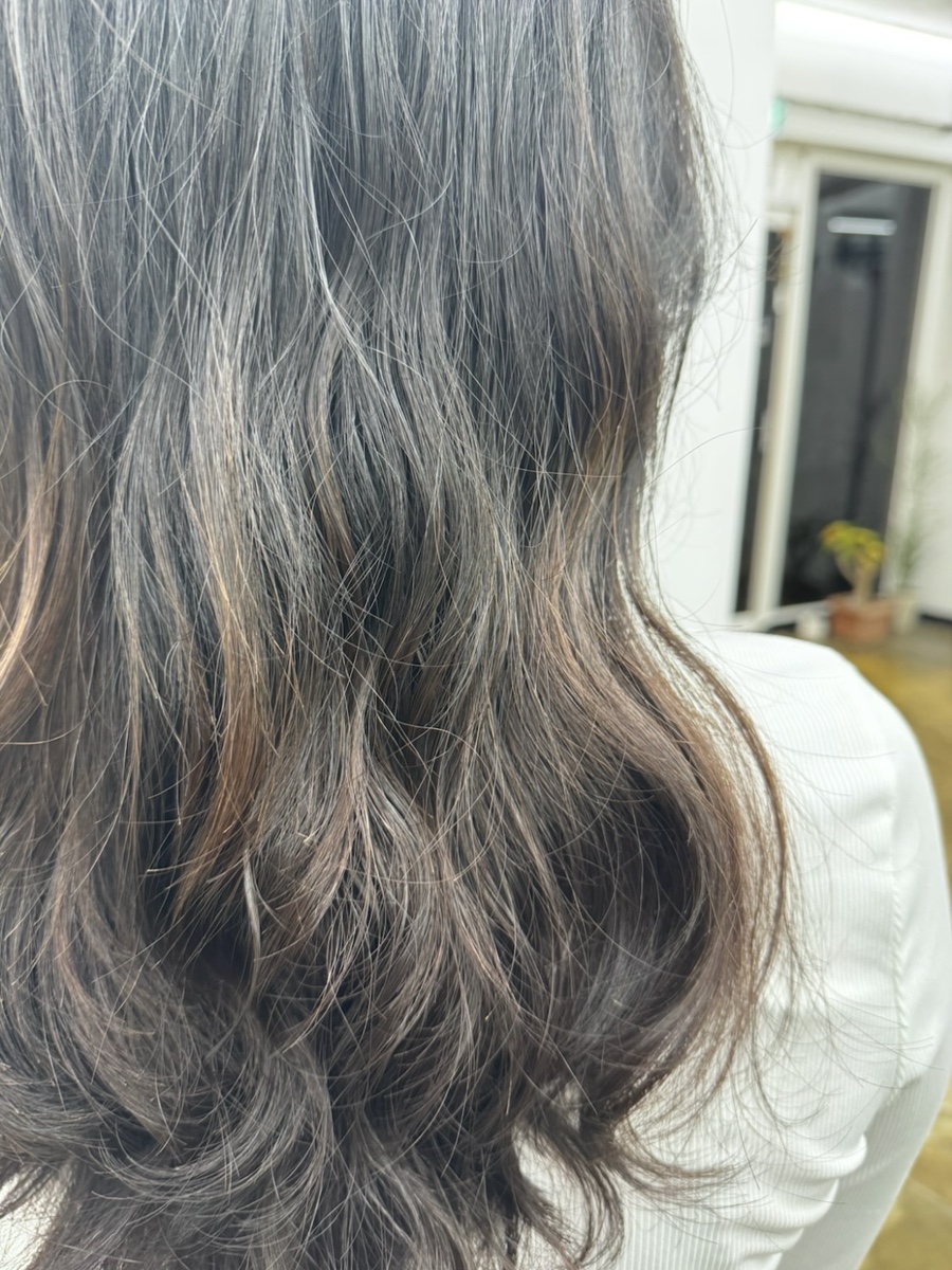 엘시크 이미지
