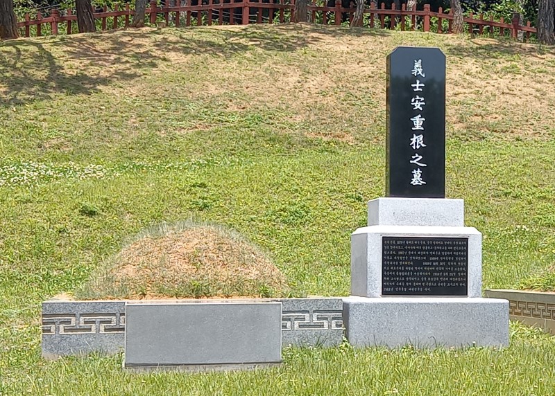 안장의사 이미지