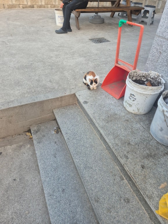 이마트24사천남일대해수욕장점 이미지