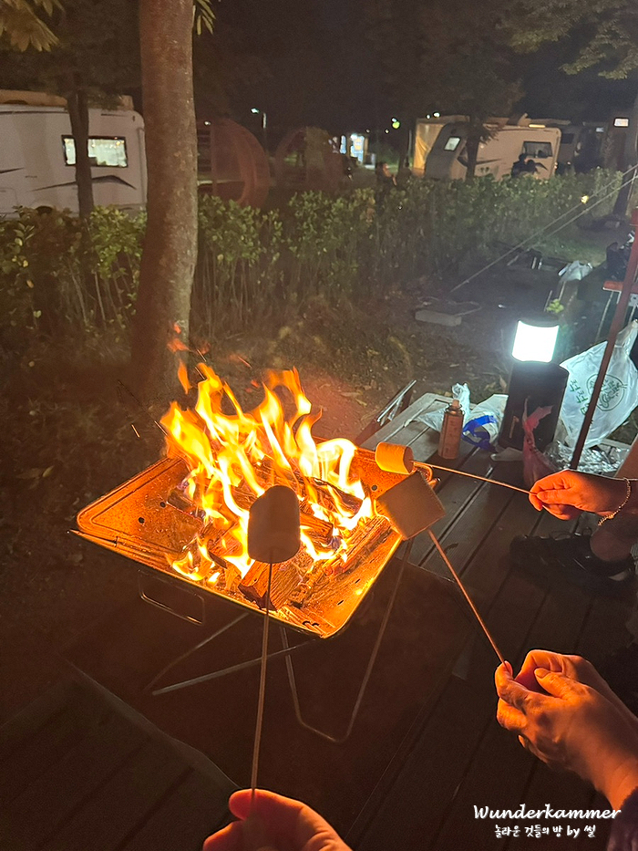 캠핑장작24 이미지