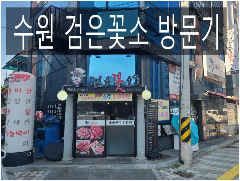 검은꽃소 이미지
