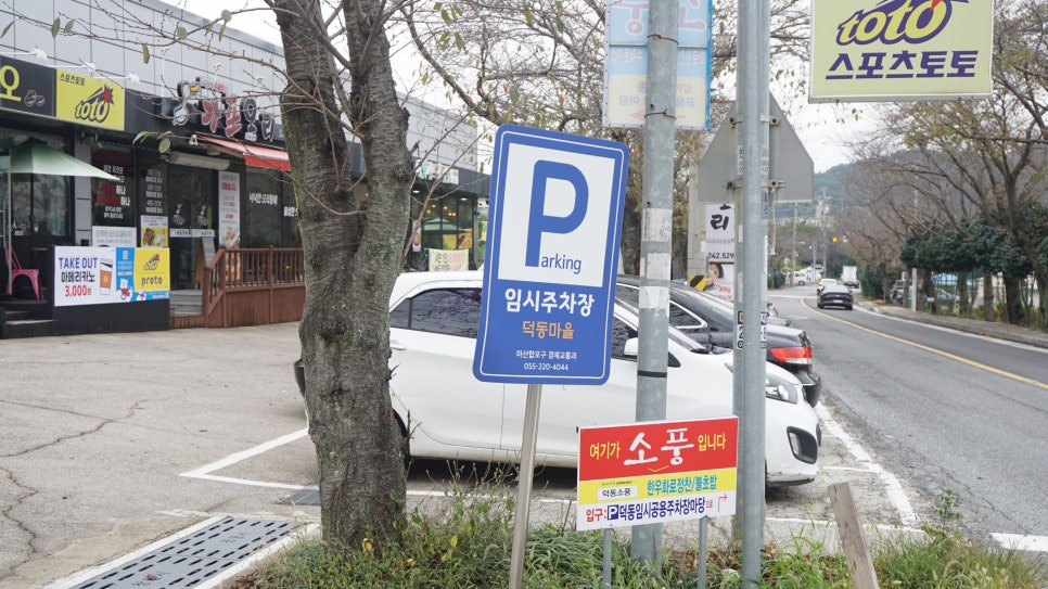 뽕반점 이미지