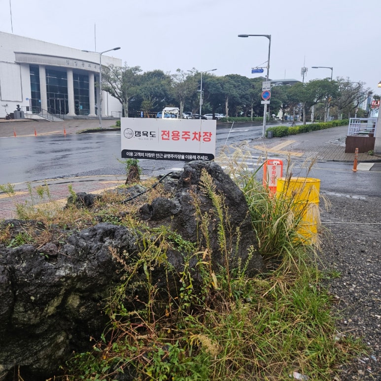 정육도 제주 신서귀포점 이미지