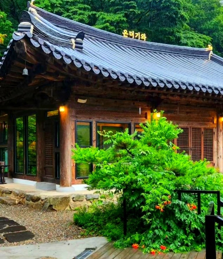 온더 이미지