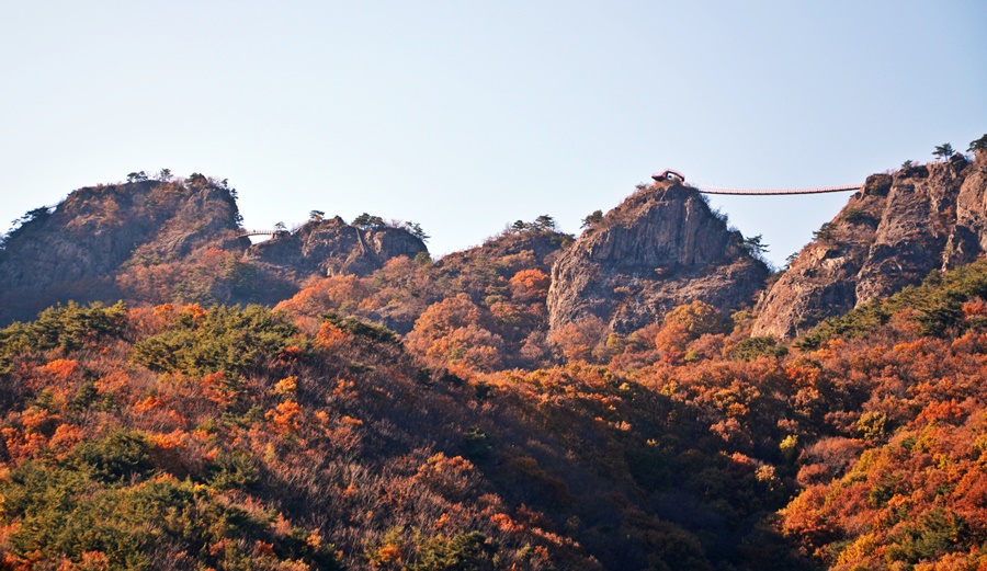 구봉산 이미지