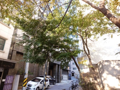 동진조경 이미지