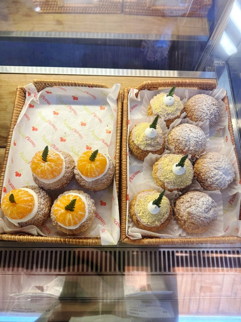플레져빈 이미지