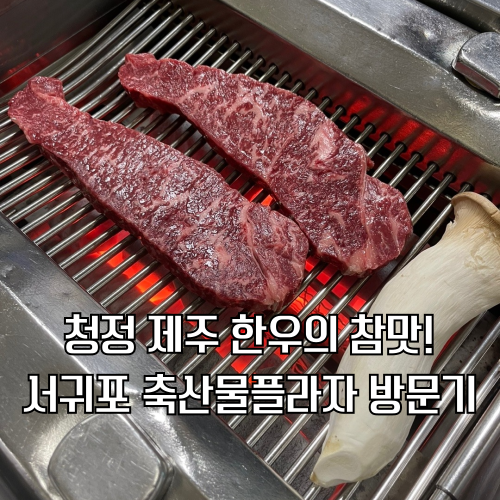 소리여행사 이미지