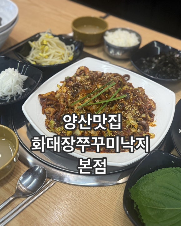 화대장 쭈꾸미·낙지 본점 이미지