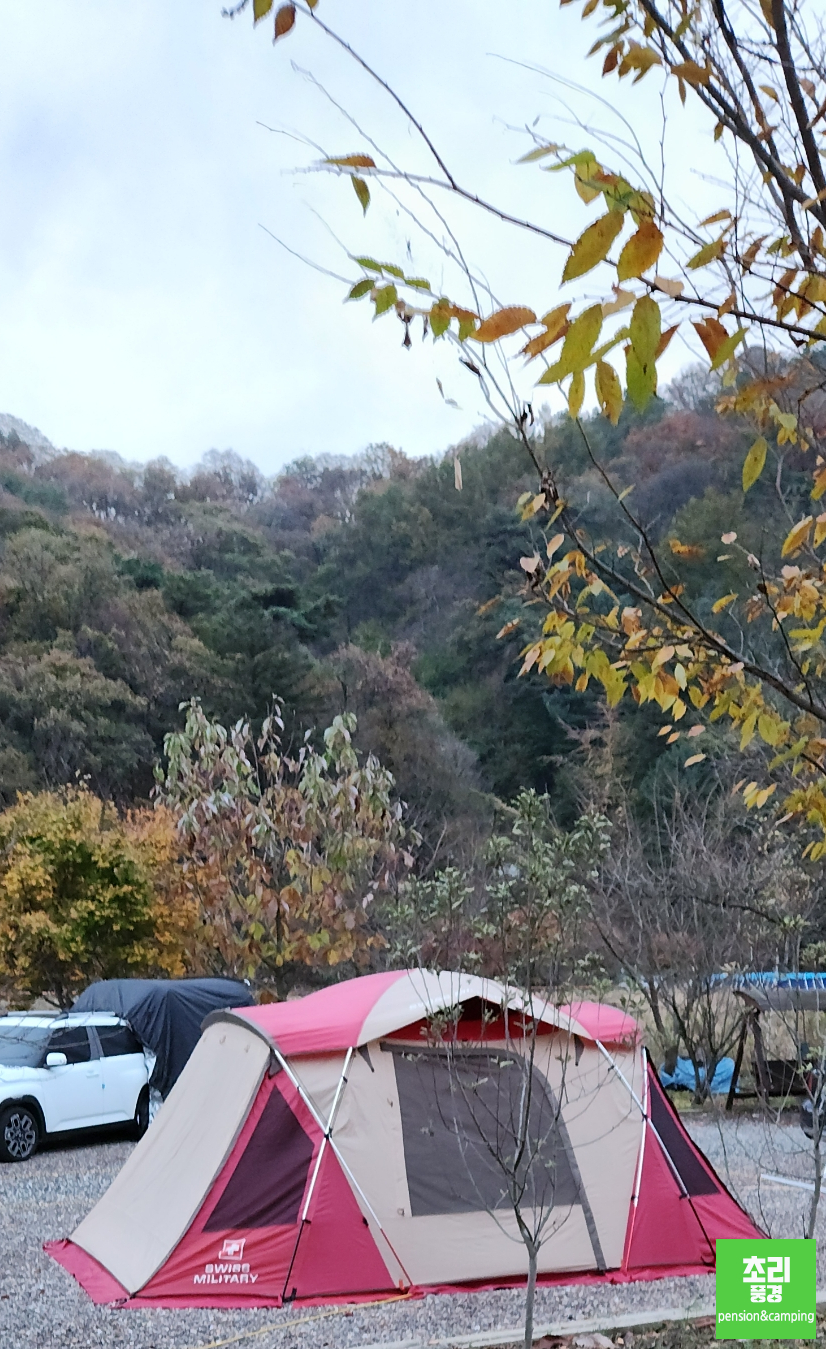 초리풍경 이미지