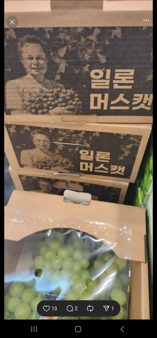 청도청과 이미지