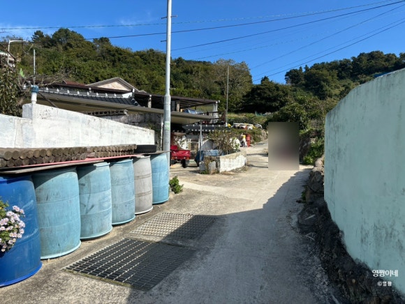 꽃섬식당 이미지