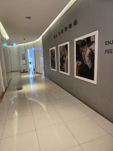 현대울산블루독 이미지