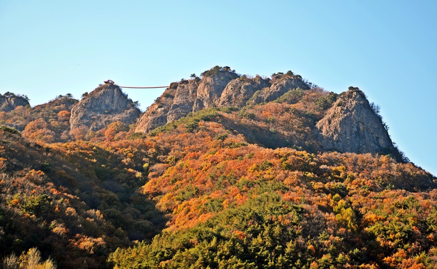구봉산 이미지
