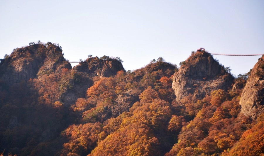 구봉산 이미지