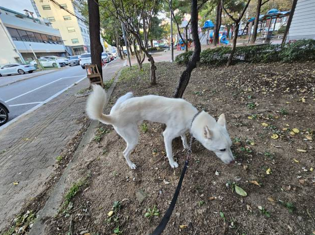 구르미교육 이미지