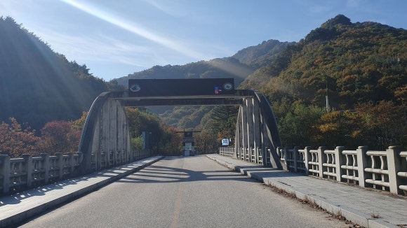 정자나무식당 이미지