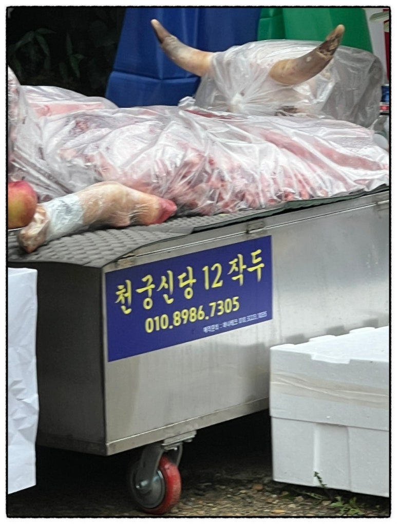 약제천궁 이미지